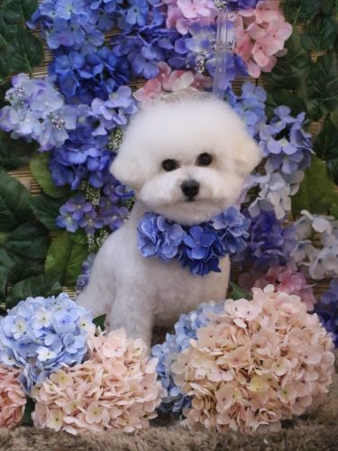 20250612姫葵ちゃん